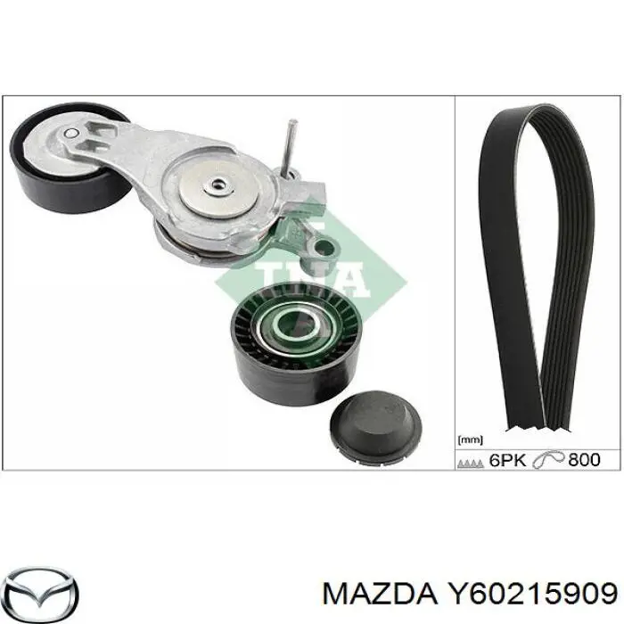 Y60215909 Mazda correa trapezoidal