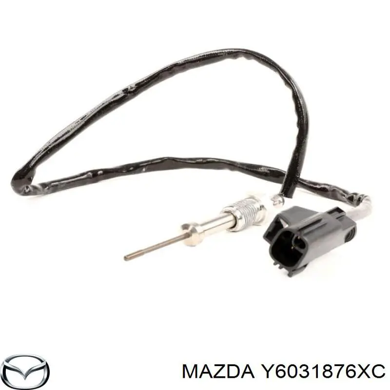 Y6031876XC Mazda