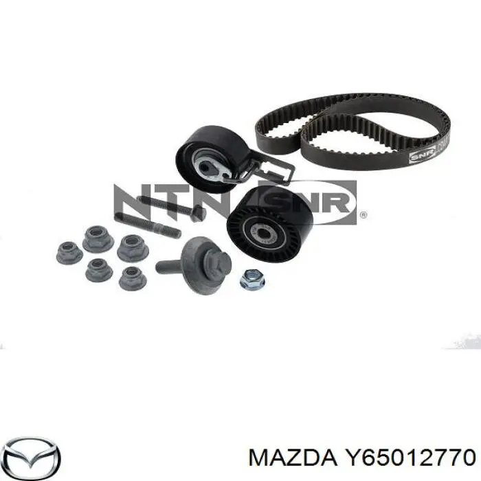 Y65012770 Mazda rodillo, cadena de distribución