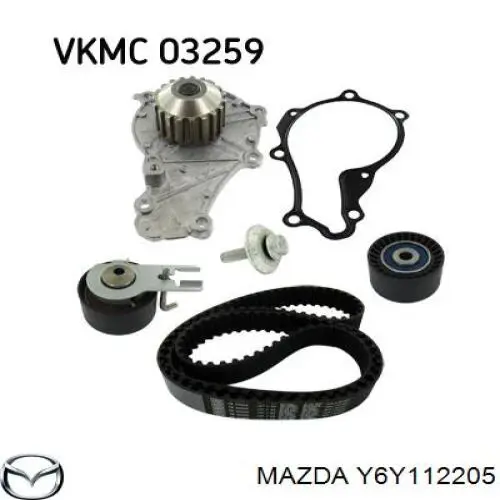 Comprar Y6Y112205 Mazda Correa distribución