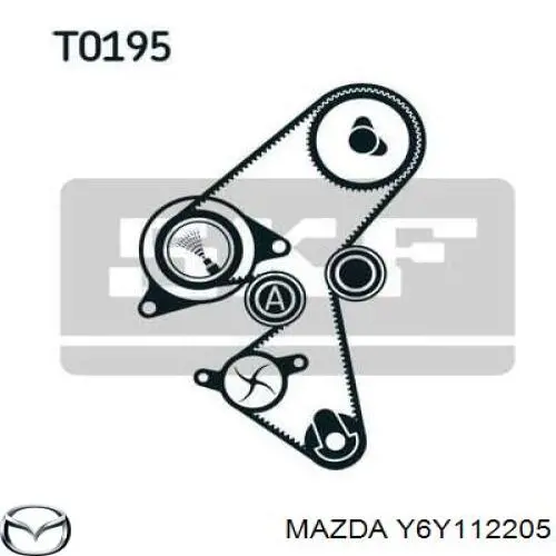 Y6Y112205 Mazda correa distribucion