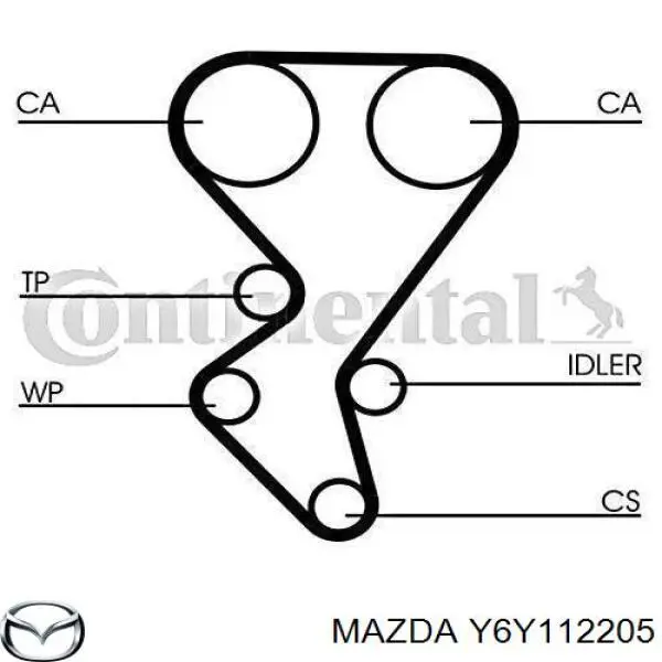 Correa distribucion Ford Fiesta JH, JD