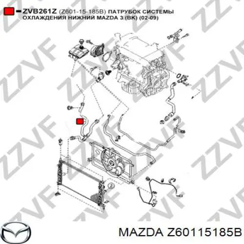Manguera refrigerante para radiador inferiora para Mazda 3 (BK14)