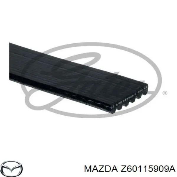 Z60115909A Mazda correa trapezoidal