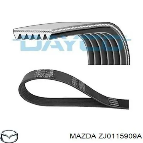 ZJ0115909A Mazda correa trapezoidal