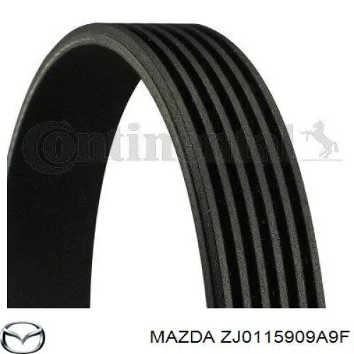 Correa de transmisión trapezoidal Mazda ZJ0115909A9F precio, desde 23,23 EUR