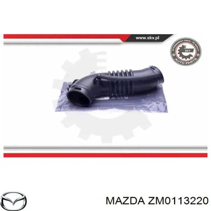 ZM0113220 Mazda tubo flexible de aspiración, entrada del filtro de aire