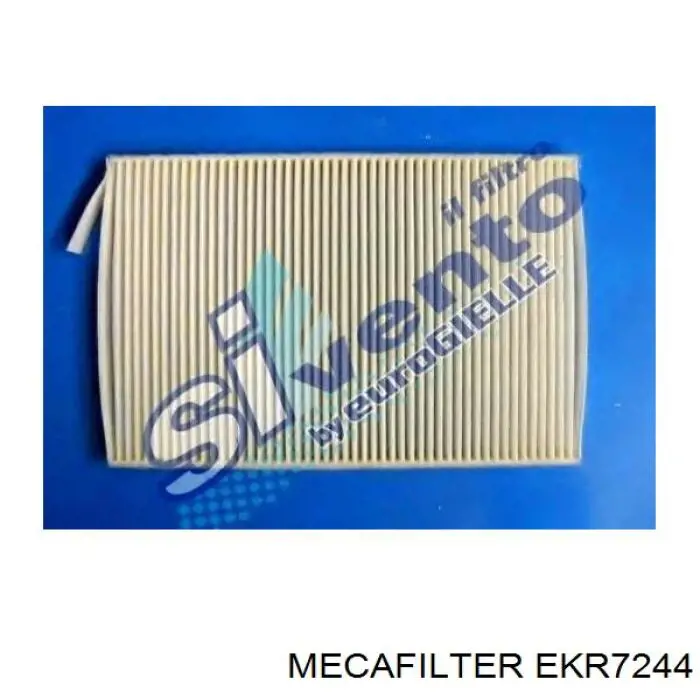 8660003806 Renault (RVI) Filtro antipolen