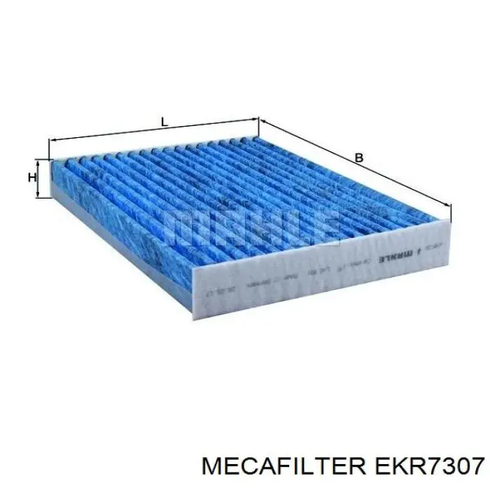 CFA11544 Fram Filtro antipolen