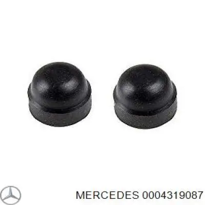 0004319087 Mercedes