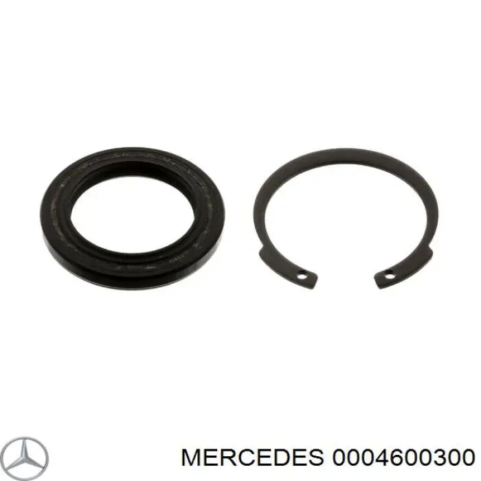 Retén, kit de reparación de caja de dirección Mercedes 0004600300 precio, desde 7,83 EUR