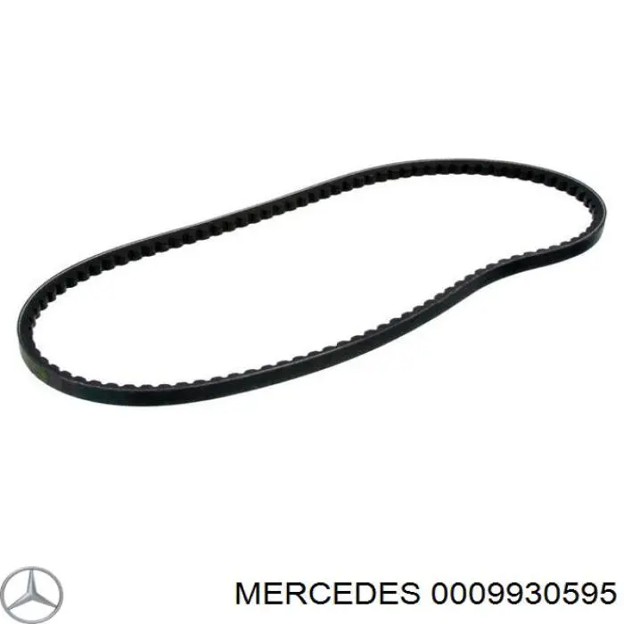 0009930595 Mercedes Correa poly v