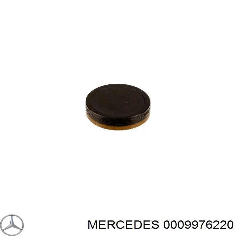 Tapa de cilindro Mercedes 0009976220 precio, desde 5,23 EUR