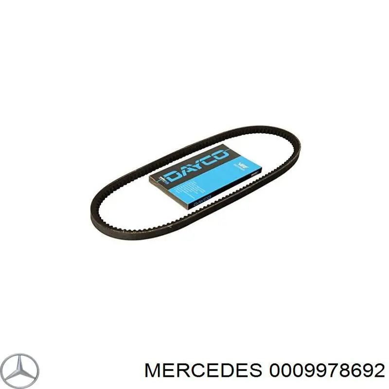 0009978692 Mercedes correa trapezoidal