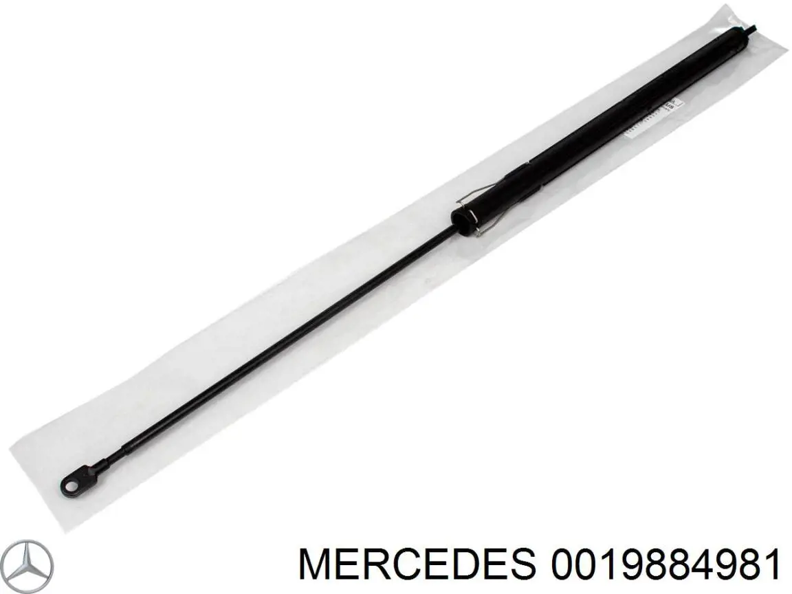 0019884981 Mercedes clips de fijación de moldura de puerta