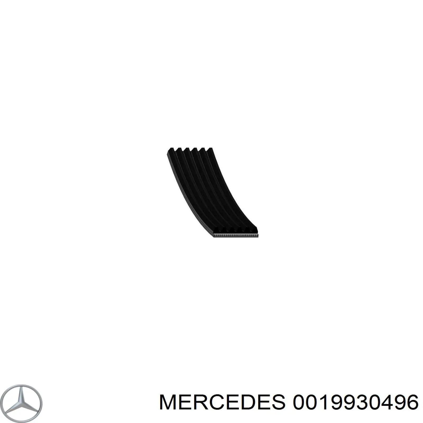 0019930496 Mercedes correa trapezoidal