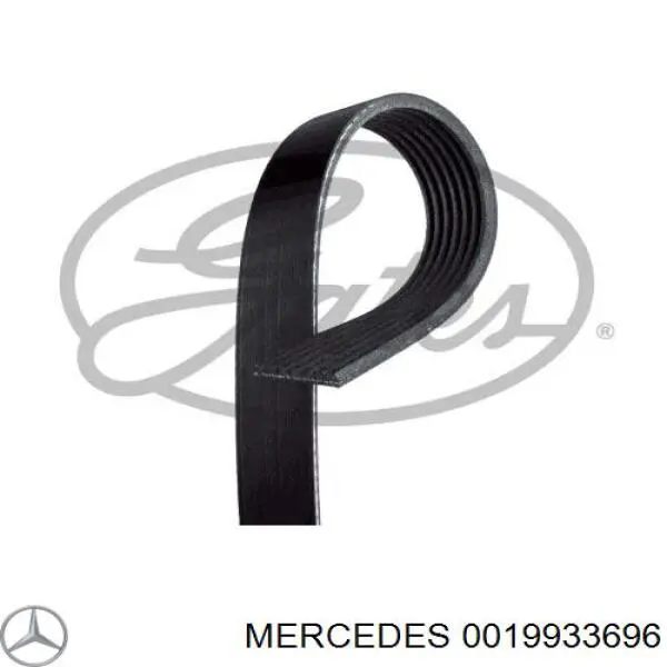 Correa de transmisión trapezoidal Mercedes 0019933696 precio, desde 32,11 EUR