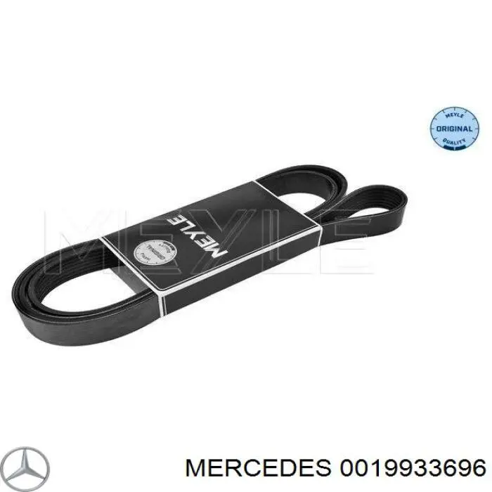 Correa de alternador 0019933696 Mercedes