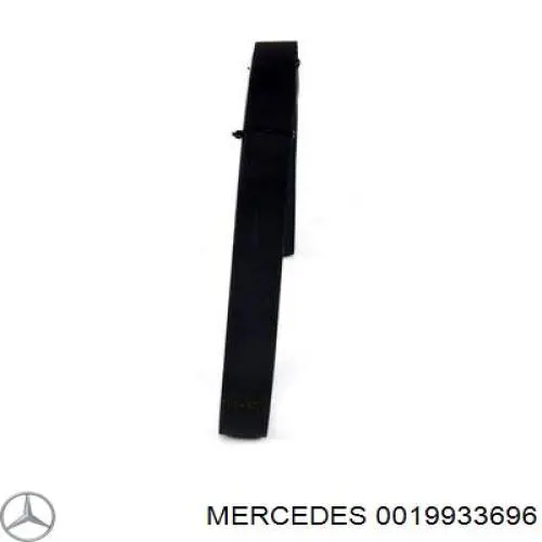 0019933696 Mercedes correa trapezoidal