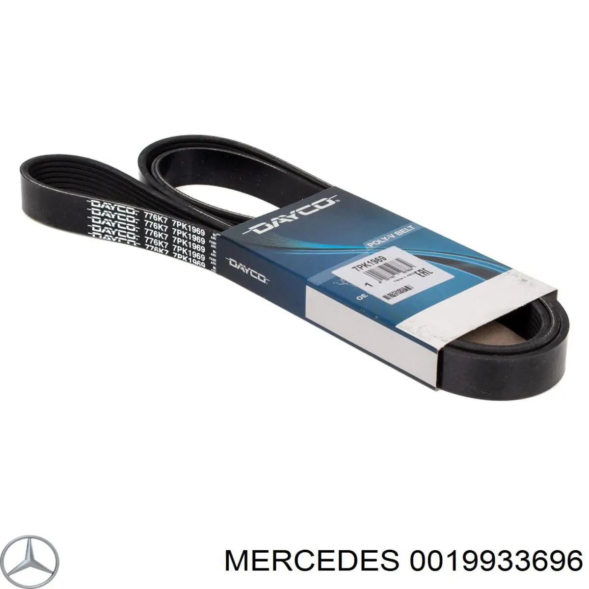 0019933696 Mercedes Correa poly v