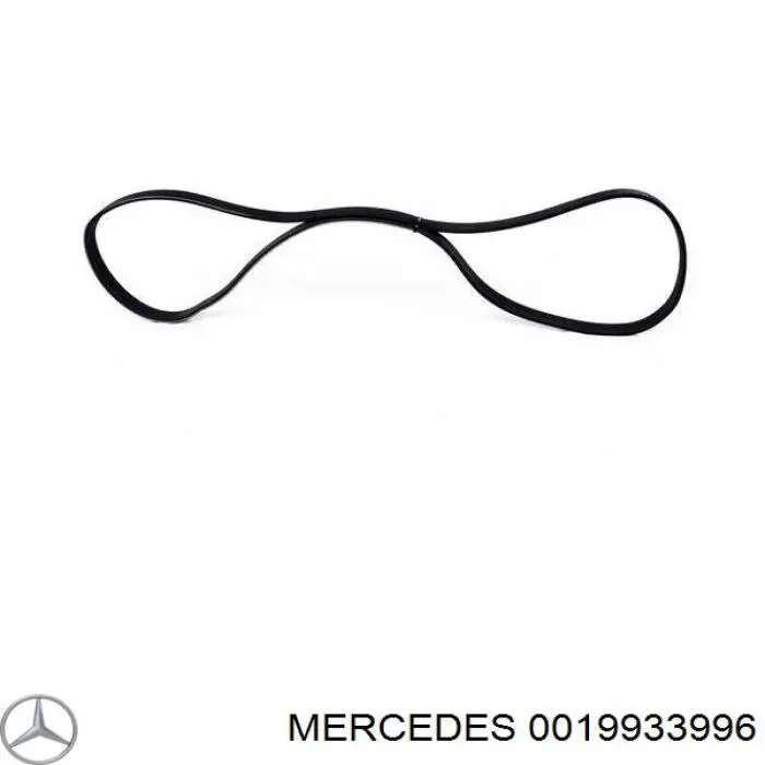 0019933996 Mercedes correa trapezoidal