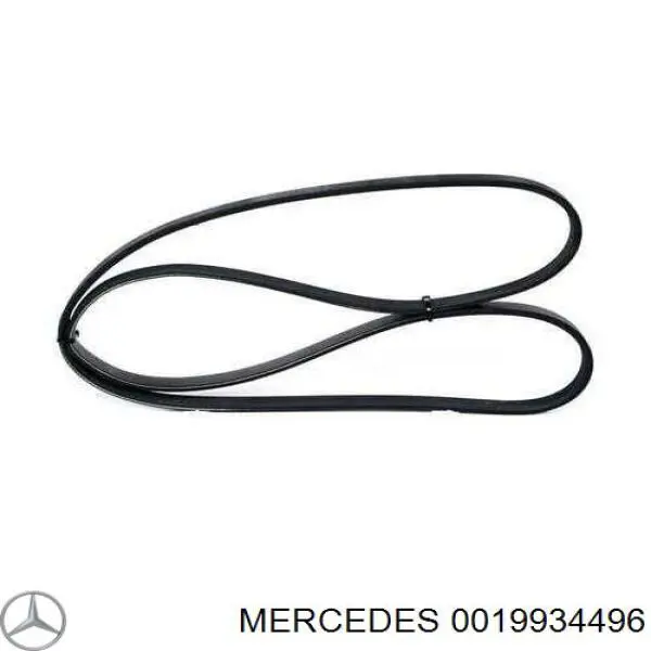 Comprar 0019934496 Mercedes Correa trapezoidal
