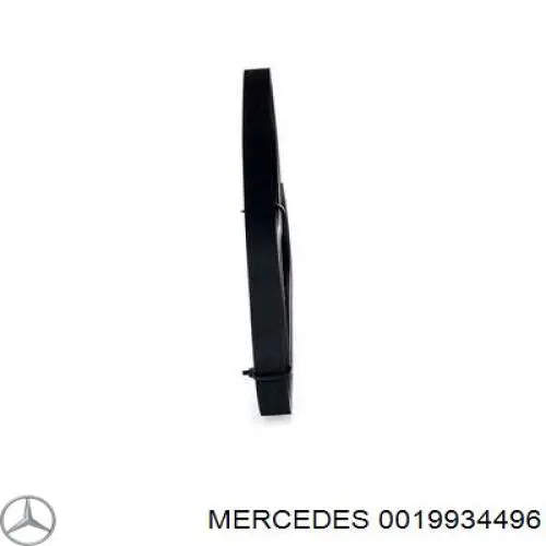 0019934496 Mercedes correa trapezoidal