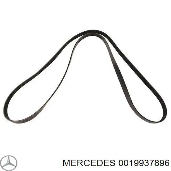 0019937896 Mercedes correa trapezoidal
