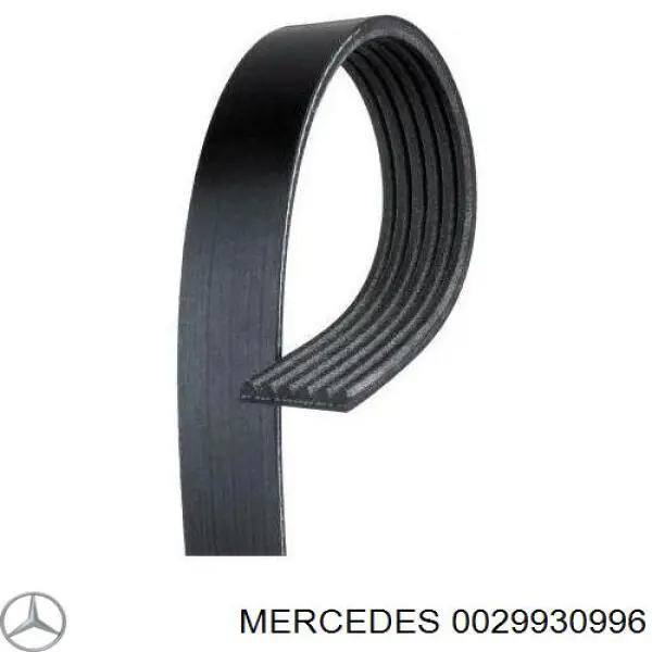 0029930996 Mercedes correa trapezoidal