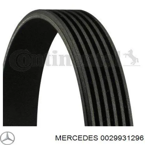 0029931296 Mercedes correa trapezoidal