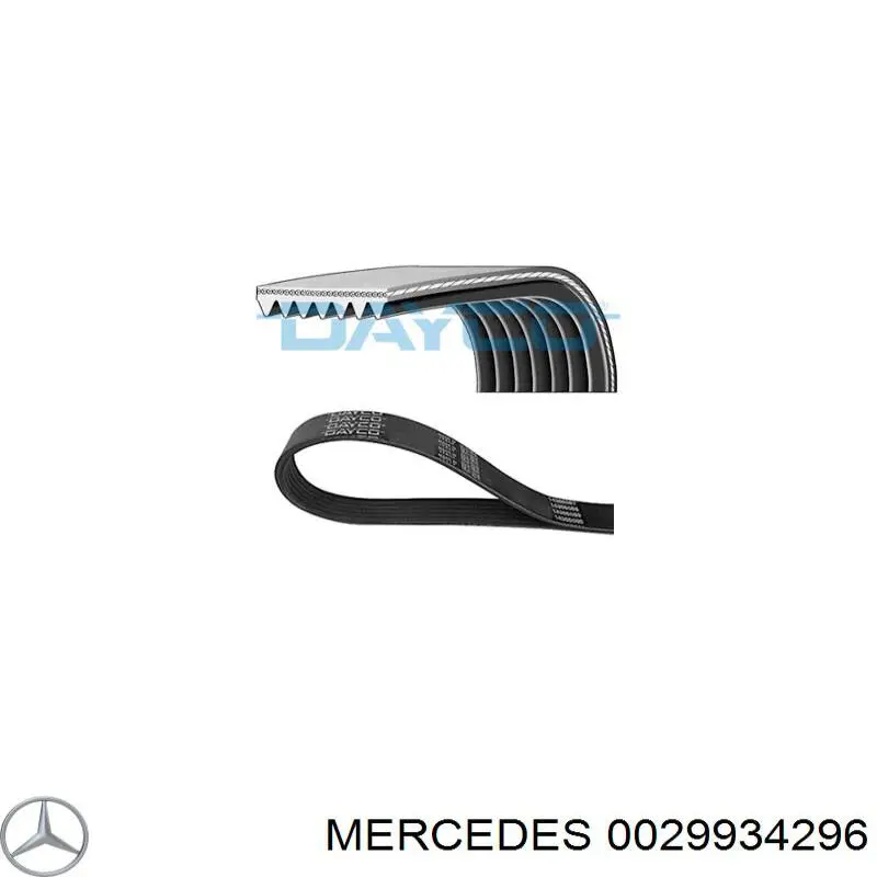 Correa de alternador 0029934296 Mercedes