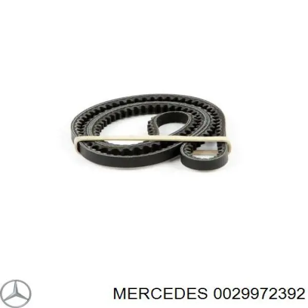 0029972392 Mercedes correa trapezoidal