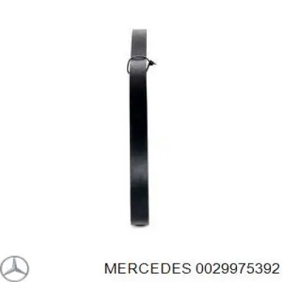 0029975392 Mercedes correa trapezoidal