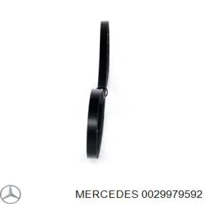 0029979592 Mercedes correa trapezoidal
