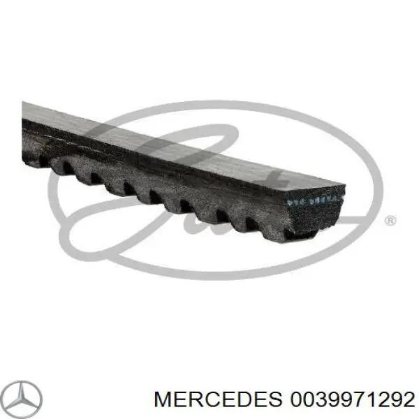 0039971292 Mercedes correa trapezoidal