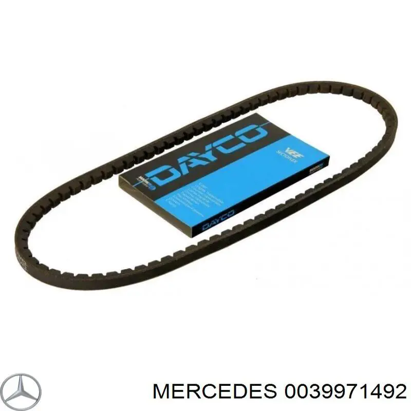 0039971492 Mercedes correa trapezoidal
