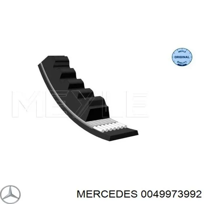 0049973992 Mercedes correa trapezoidal