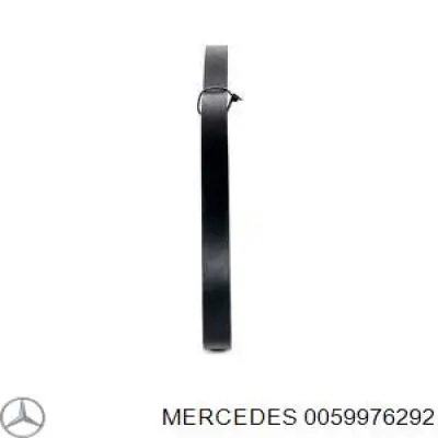 0059976292 Mercedes correa trapezoidal