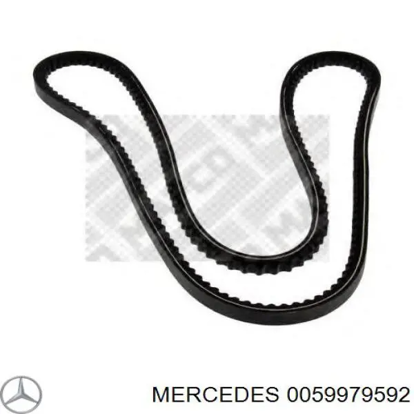 0059979592 Mercedes correa trapezoidal