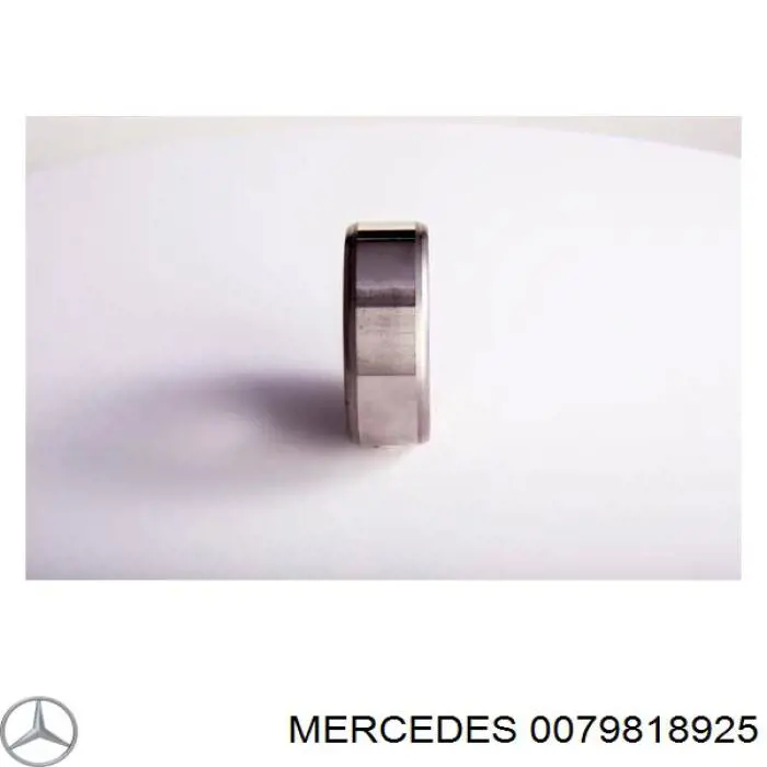 0079818925 Mercedes cojinete, alternador