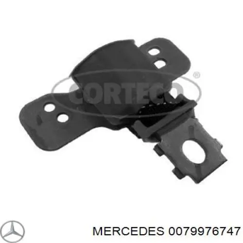 0079976747 Mercedes anillo retén, diferencial, delantero