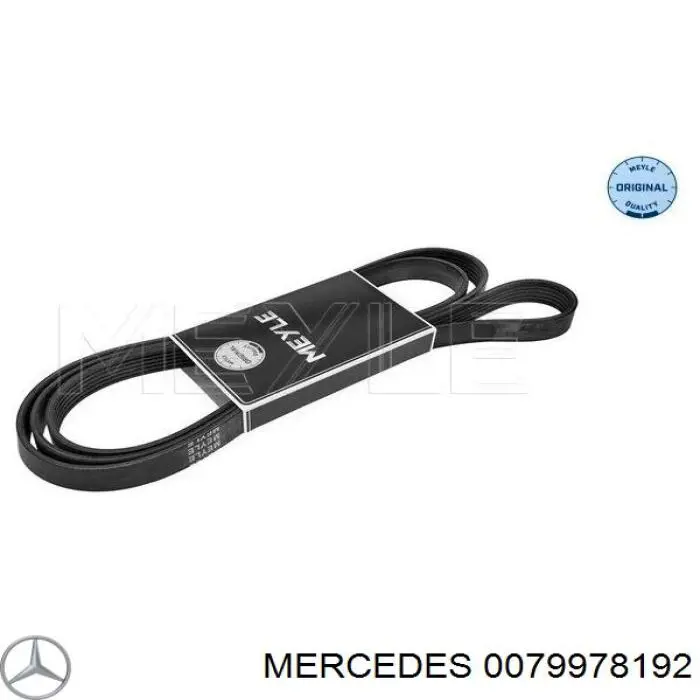 0079978192 Mercedes correa trapezoidal