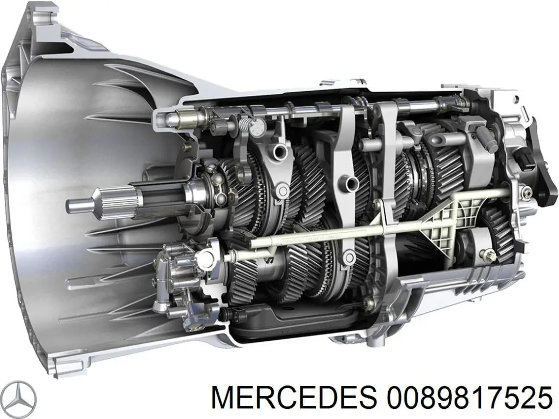 A008981752564 Mercedes