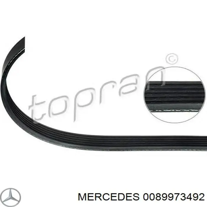 0089973492 Mercedes correa trapezoidal