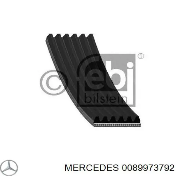 0089973792 Mercedes correa trapezoidal