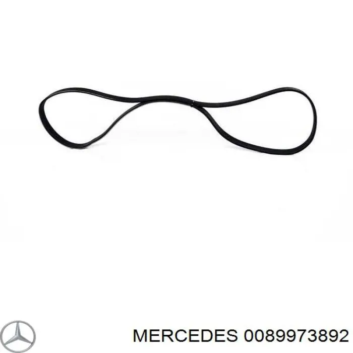 0089973892 Mercedes correa trapezoidal