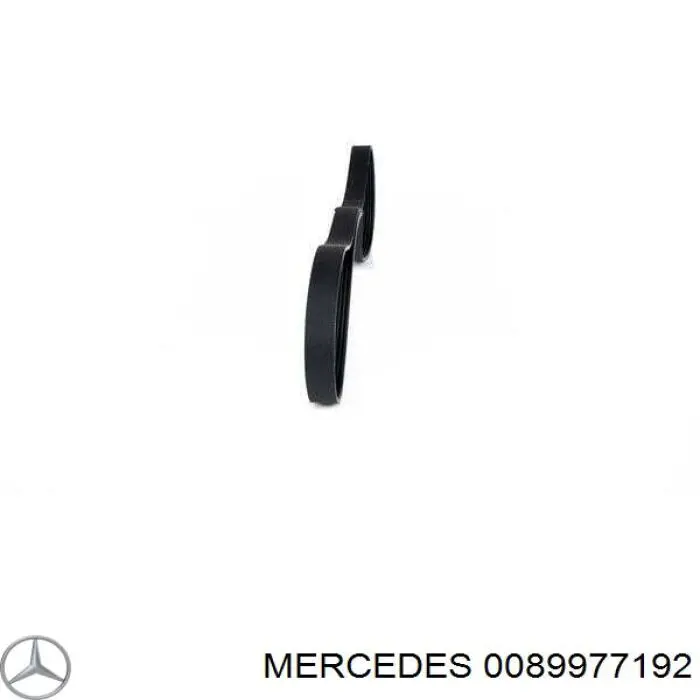 0089977192 Mercedes correa trapezoidal