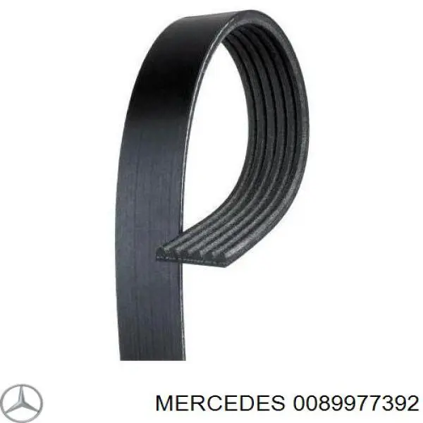 0089977392 Mercedes correa trapezoidal