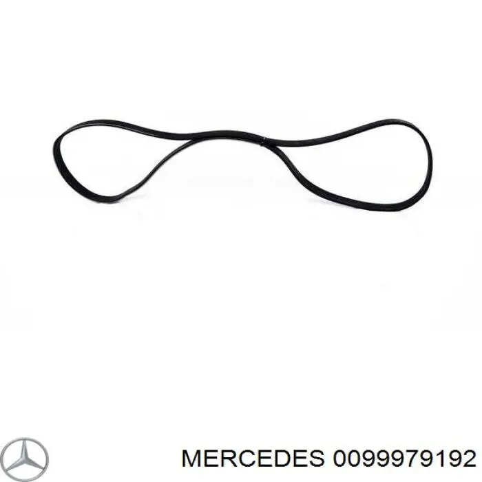 0099979192 Mercedes correa trapezoidal