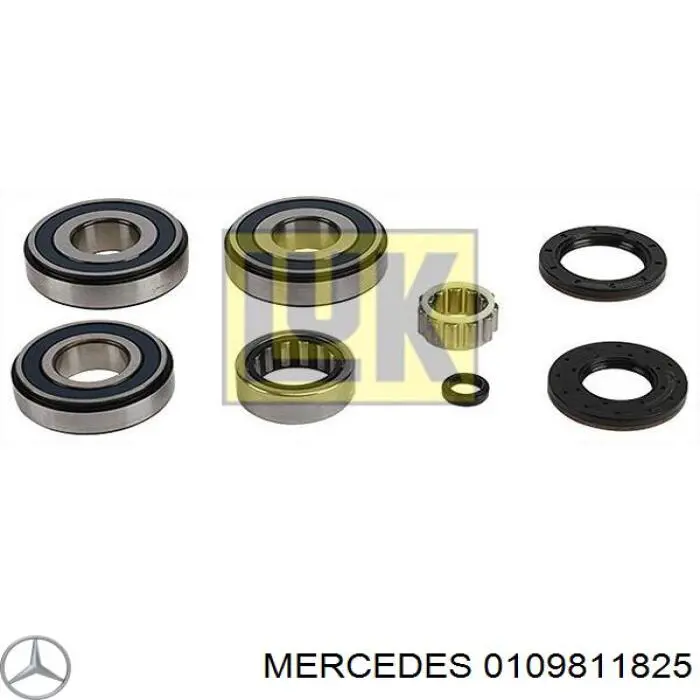 0109811825 Mercedes cojinete, árbol intermedio